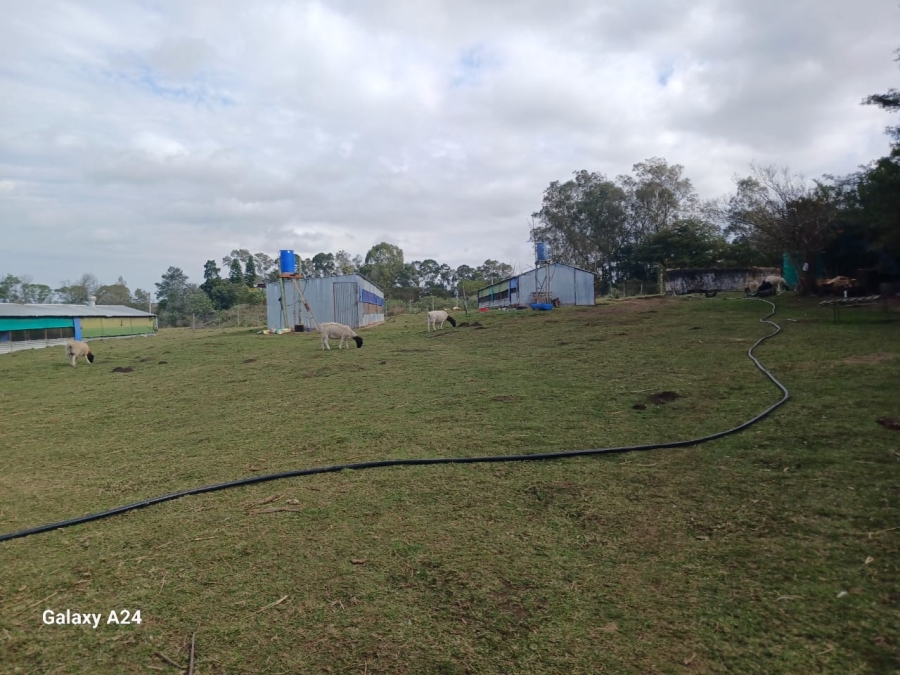 5 Bedroom Property for Sale in Macleantown Eastern Cape